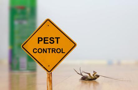 Pests Don’t Wait, Why Should You?