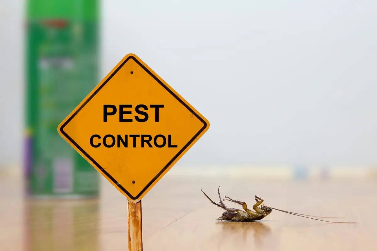 Pests Don’t Wait, Why Should You?